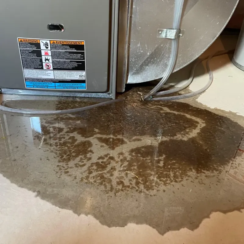 Appliance Leak Cleanup in Eden Isle, LA